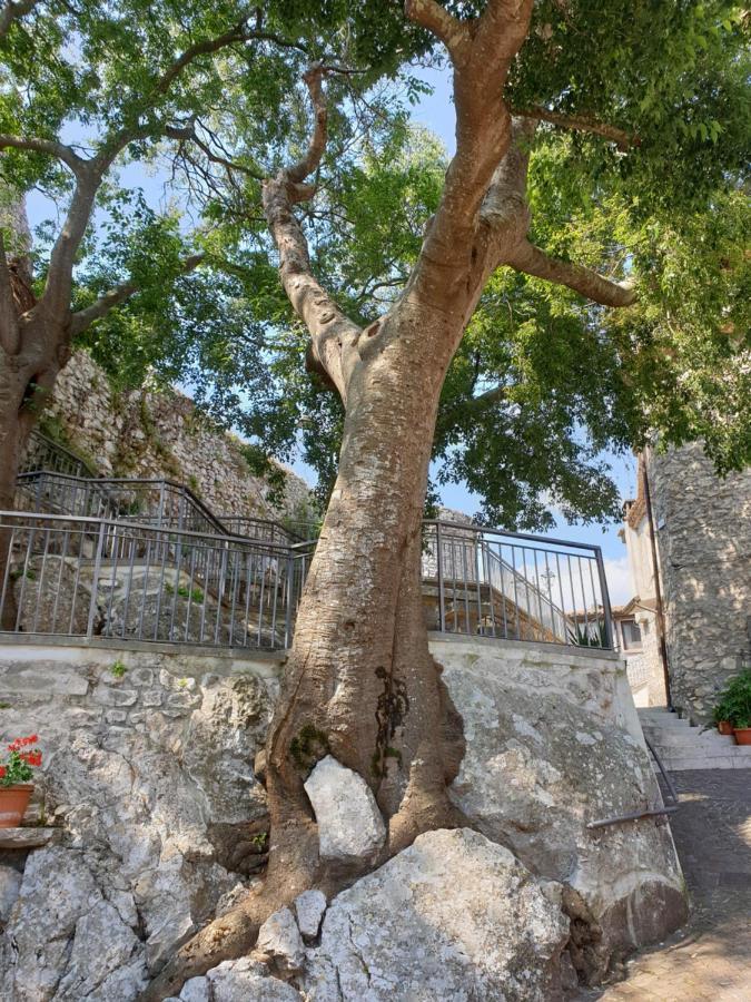 הוילה Castelnuovo Parano Casa Di Mamma Rosa מראה חיצוני תמונה